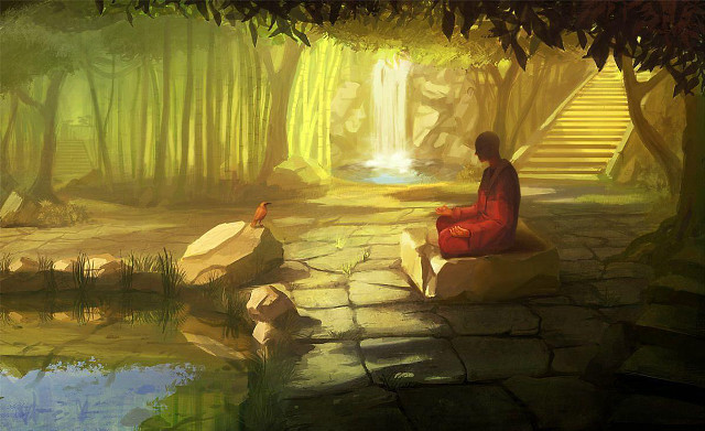 Person sitting rock forest bird free wallpaper - medium preview image