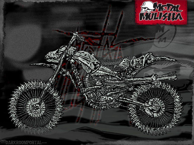 Dirt bike skeleton back tire free wallpaper - medium preview image