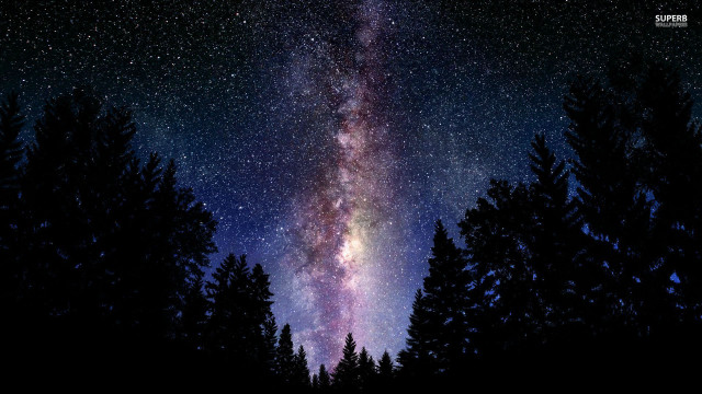 Night sky stars trees foreground free wallpaper - medium preview image