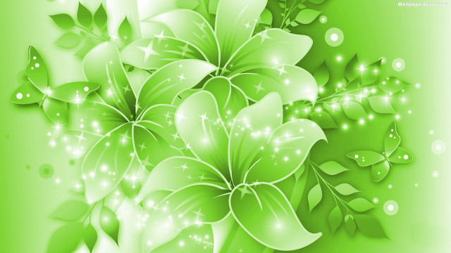 Green background white flowers leaves free wallpaper - medium preview image