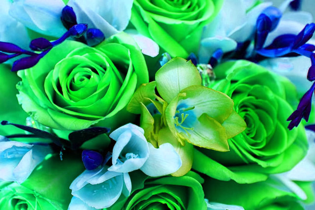 Bouquet green blue flowers green free wallpaper - medium preview image