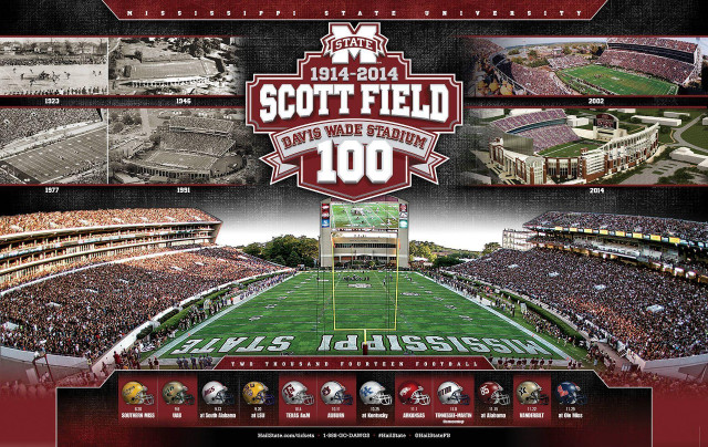 Football stadium large field crowd free wallpaper - medium preview image
