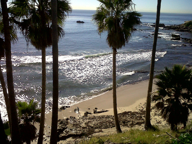 Beach palm trees boat people free wallpaper - medium preview image