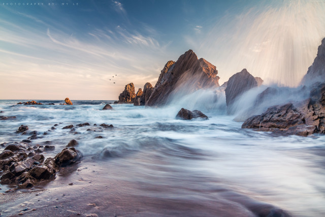 Rocky beach waves crashing bird free wallpaper - medium preview image