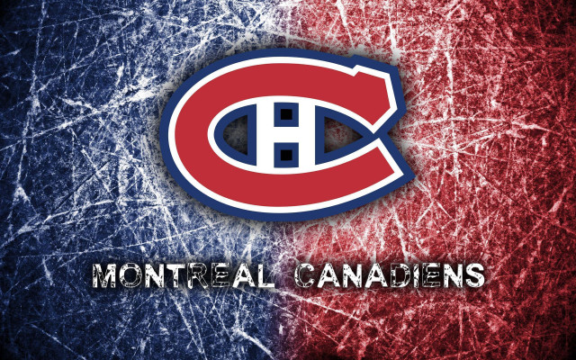 Hockey logo with the word free wallpaper - medium preview image
