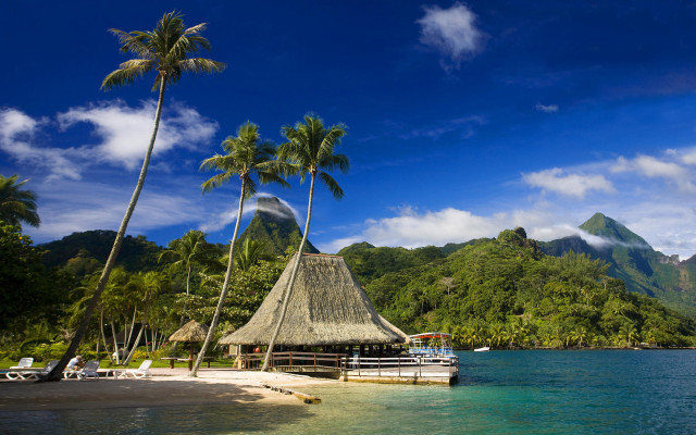 Tropical beach dock palm mountains free wallpaper - medium preview image