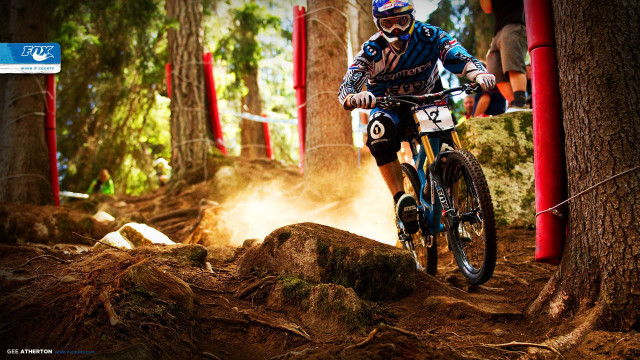 Man bike dirtroad forest flags free wallpaper - medium preview image