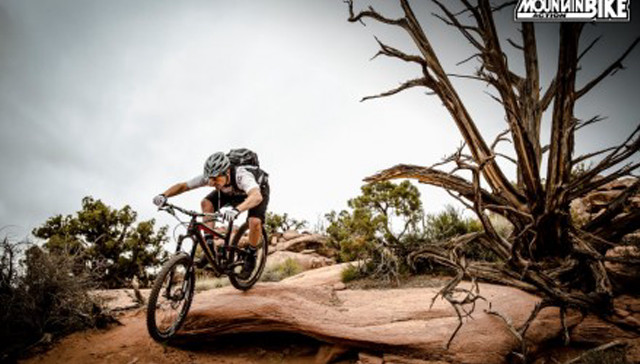 Man bike dirt road tree free wallpaper - medium preview image