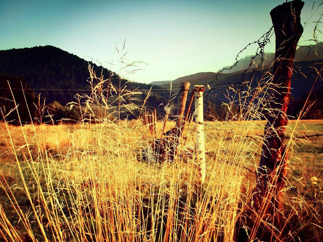 Fence field mountain grass foreground free wallpaper - medium preview image