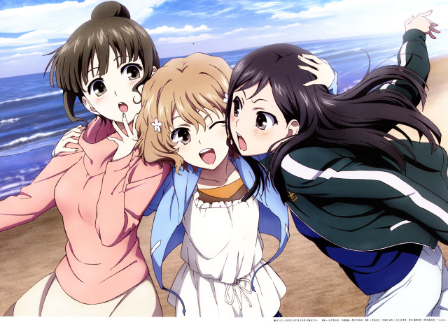 Three girls beach arms around #2 free wallpaper - medium preview image