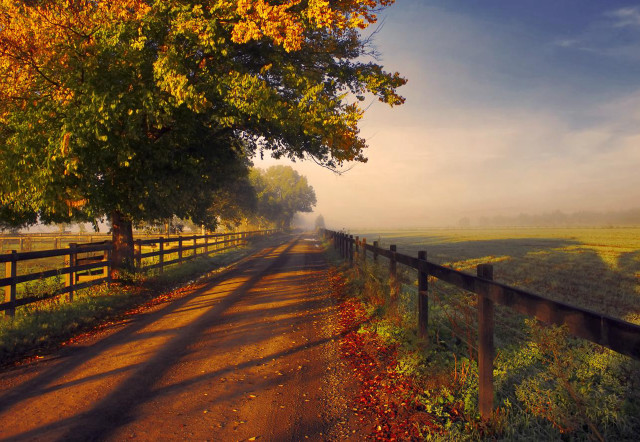 Road fence trees field grass free wallpaper - medium preview image