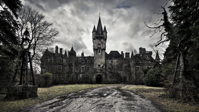 Castle clock tower forest dirt free wallpaper - medium preview image