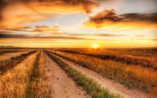 Dirt road sunset field grass free wallpaper - medium preview image