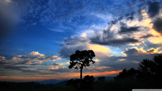 Sunset silhouette tree mountain clouds free wallpaper - medium preview image