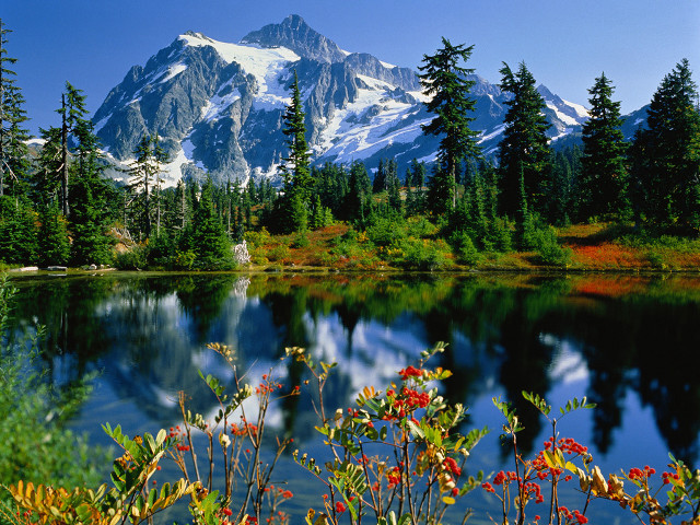 Mountain lake trees foreground background free wallpaper - medium preview image