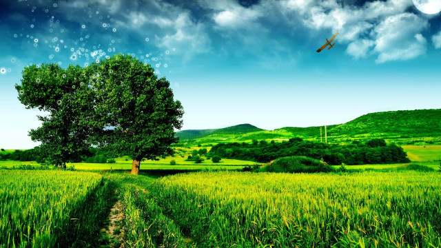 Green field tree plane sky free wallpaper - medium preview image