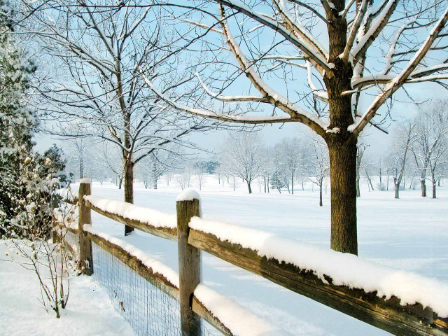 Fence snow tree background snow free wallpaper - medium preview image
