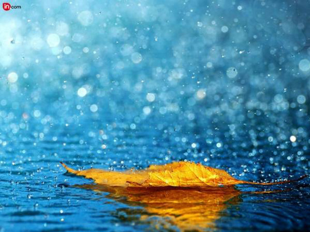Leaf floating water blue sky free wallpaper - medium preview image