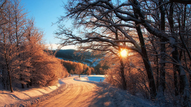 Snowy road sunlight trees winter free wallpaper - medium preview image