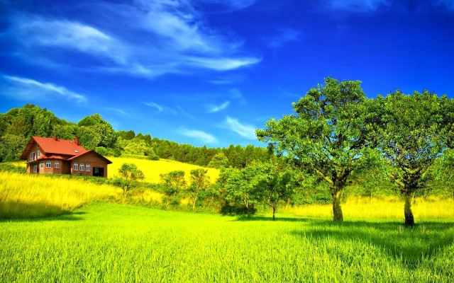 Green field house trees blue free wallpaper - medium preview image
