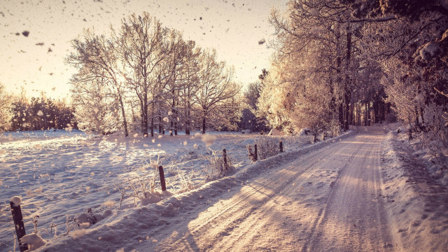 Snowy road fence trees background free wallpaper - medium preview image