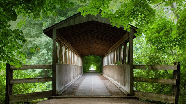 Wooden bridge walkway tunnel trees free wallpaper - medium preview image