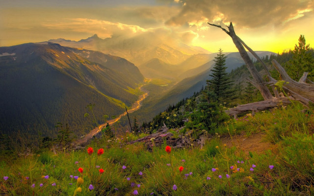 Beautiful valley mountains flowers foreground free wallpaper - medium preview image