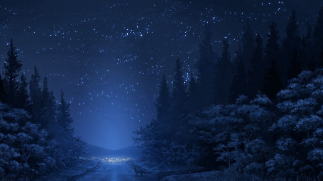 Night scene road trees stars free wallpaper - medium preview image