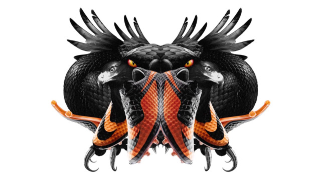 Fish wings group overlapping aquatic free wallpaper - medium preview image