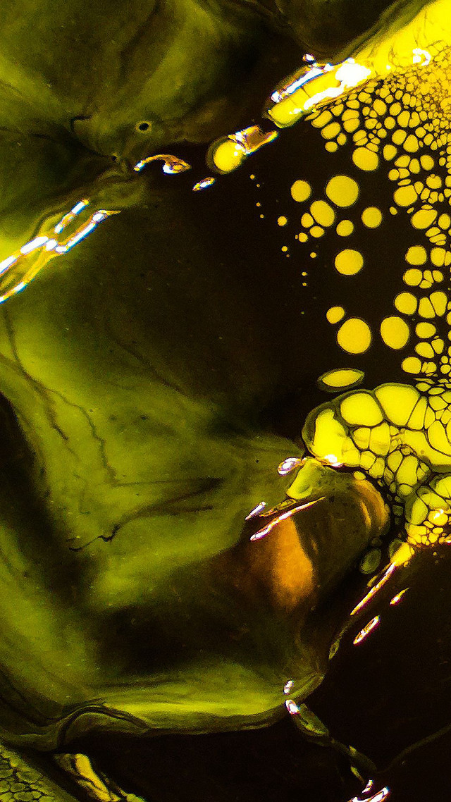 Yellow black object circles closeup free wallpaper - medium preview image