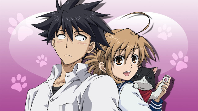 Anime couple cat shoulder image free wallpaper - medium preview image
