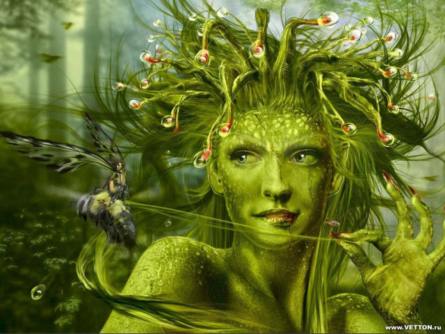 Woman green hair bird shoulder free wallpaper - medium preview image