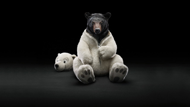 Black white bear teddy bear free wallpaper - medium preview image