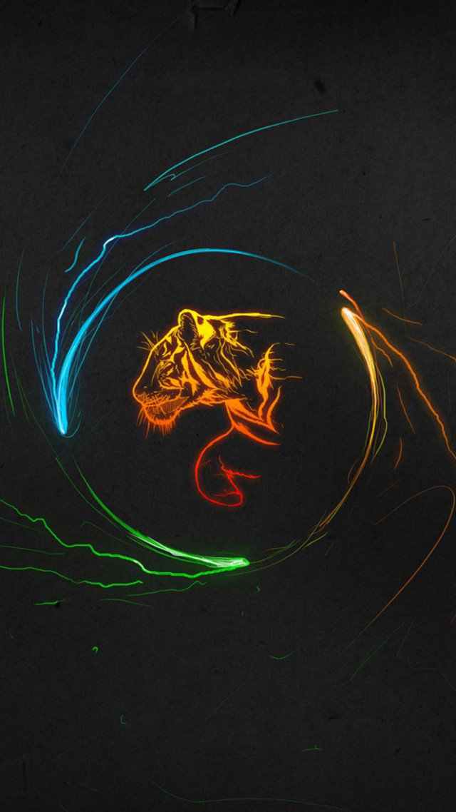 Colorful lizard light streaks black free wallpaper - medium preview image