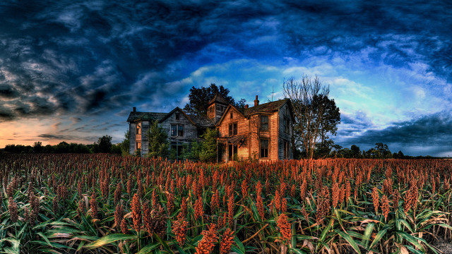 Large house cornfield cloudy sky #2 free wallpaper - medium preview image