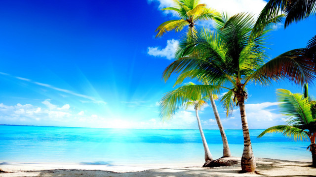 Beach palm trees sun clouds free wallpaper - medium preview image