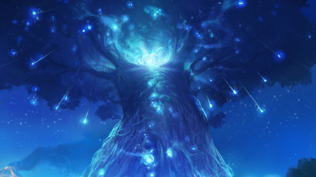 Tree lights night sky background free wallpaper - medium preview image