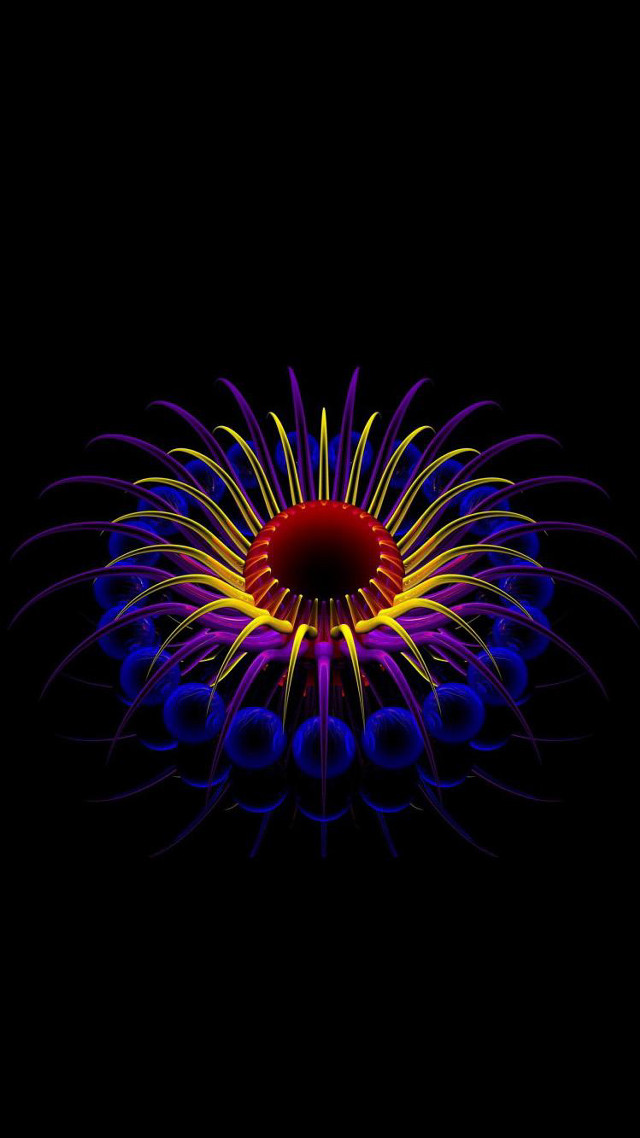 Colorful flower black background red #2 free wallpaper - medium preview image