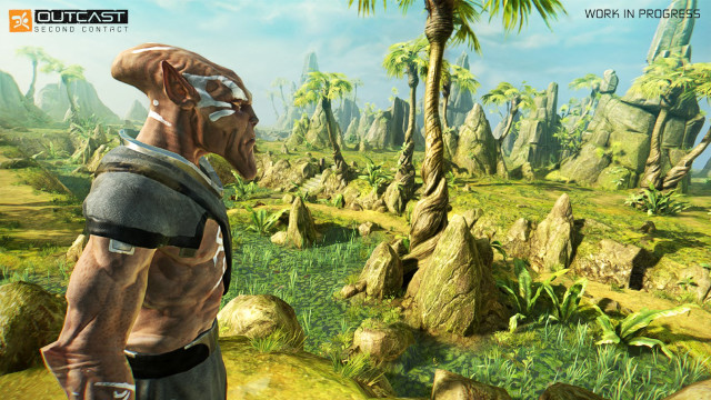 Man palm tree jungle field free wallpaper - medium preview image