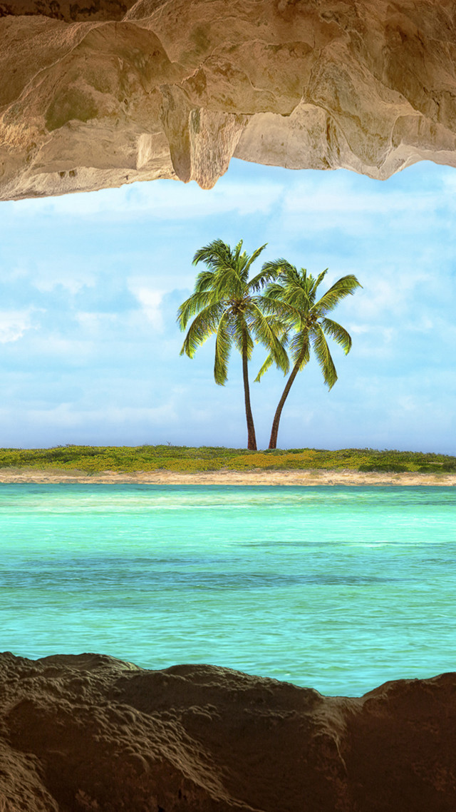 Palm tree water beach rock free wallpaper - medium preview image
