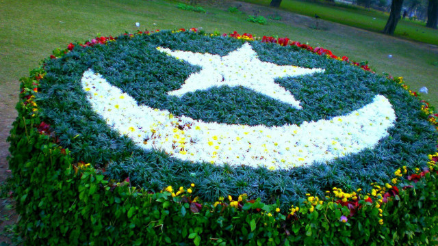 Circular flower bed star smiley free wallpaper - medium preview image