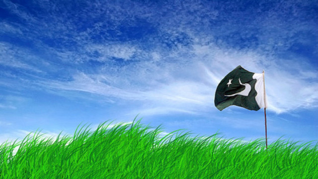 Flag flying green field blue free wallpaper - medium preview image