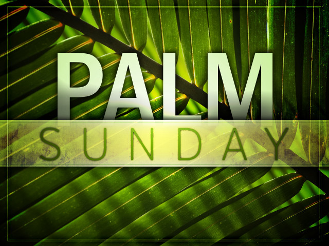 Palm leaf palm sunday green #2 free wallpaper - medium preview image