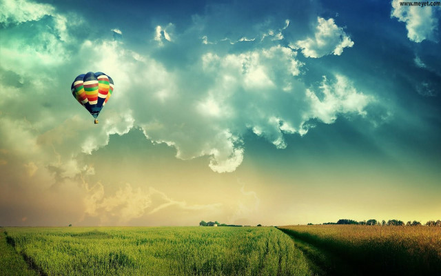 Hot air balloon over lush #2 free wallpaper - medium preview image