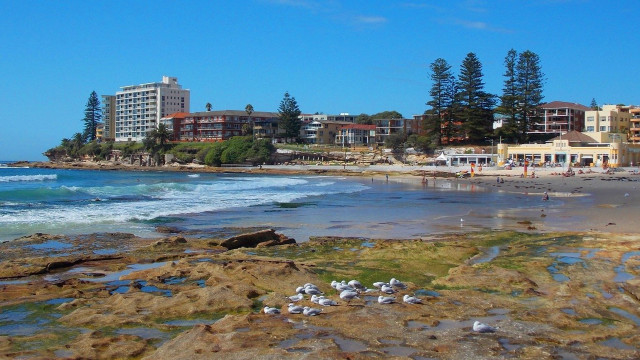 Beach birds buildings blue sky free wallpaper - medium preview image