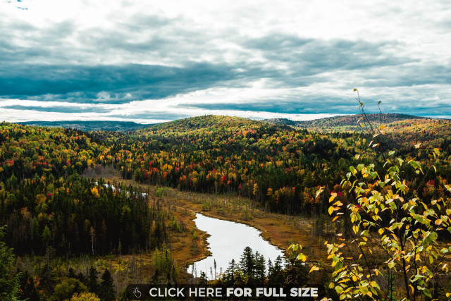 Scenic river fall trees cloudy free wallpaper - medium preview image