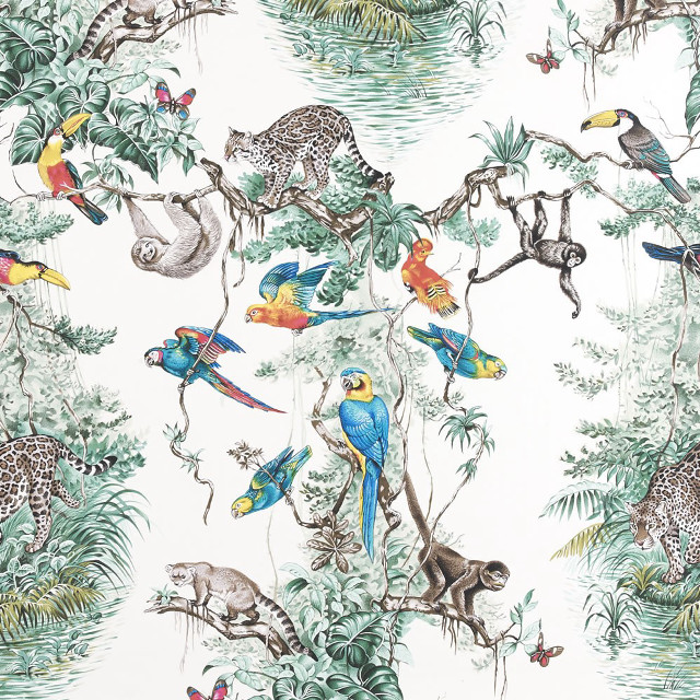 Jungle wallpaper animals birds nature free wallpaper - medium preview image