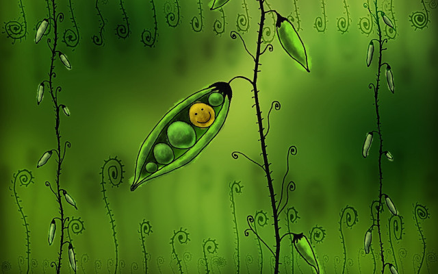 Green pea pod smiley face free wallpaper - medium preview image
