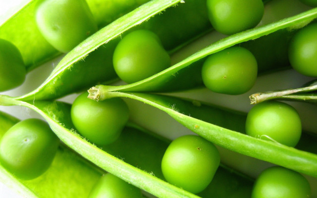 Close up pea pod green free wallpaper - medium preview image