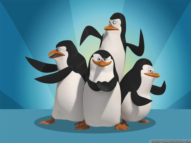 Penguins group blue background image free wallpaper - medium preview image